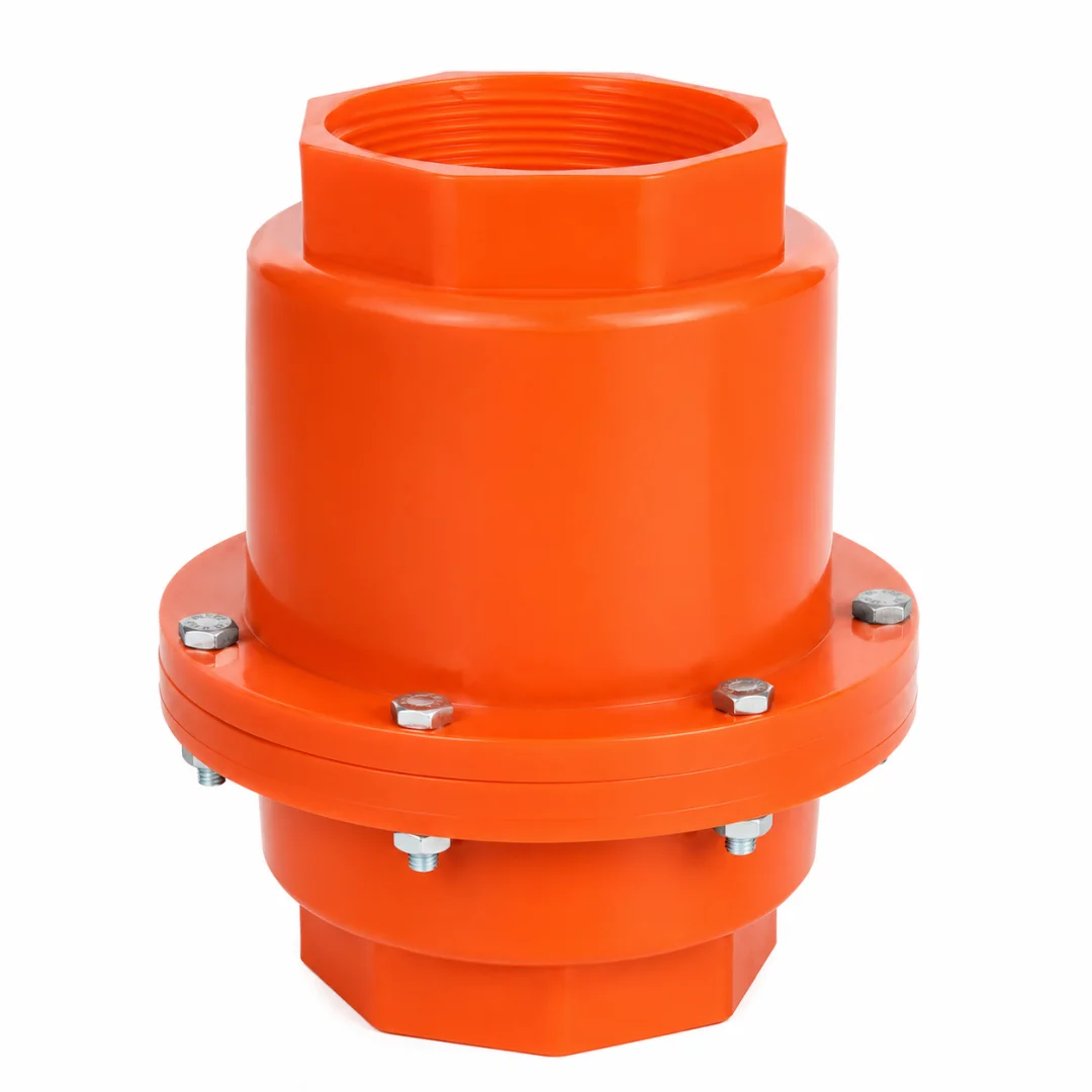 PP Check Valve 2 Inch