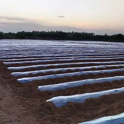Preview Image 2 Mulching Paper 25 Micron 1 MTR
