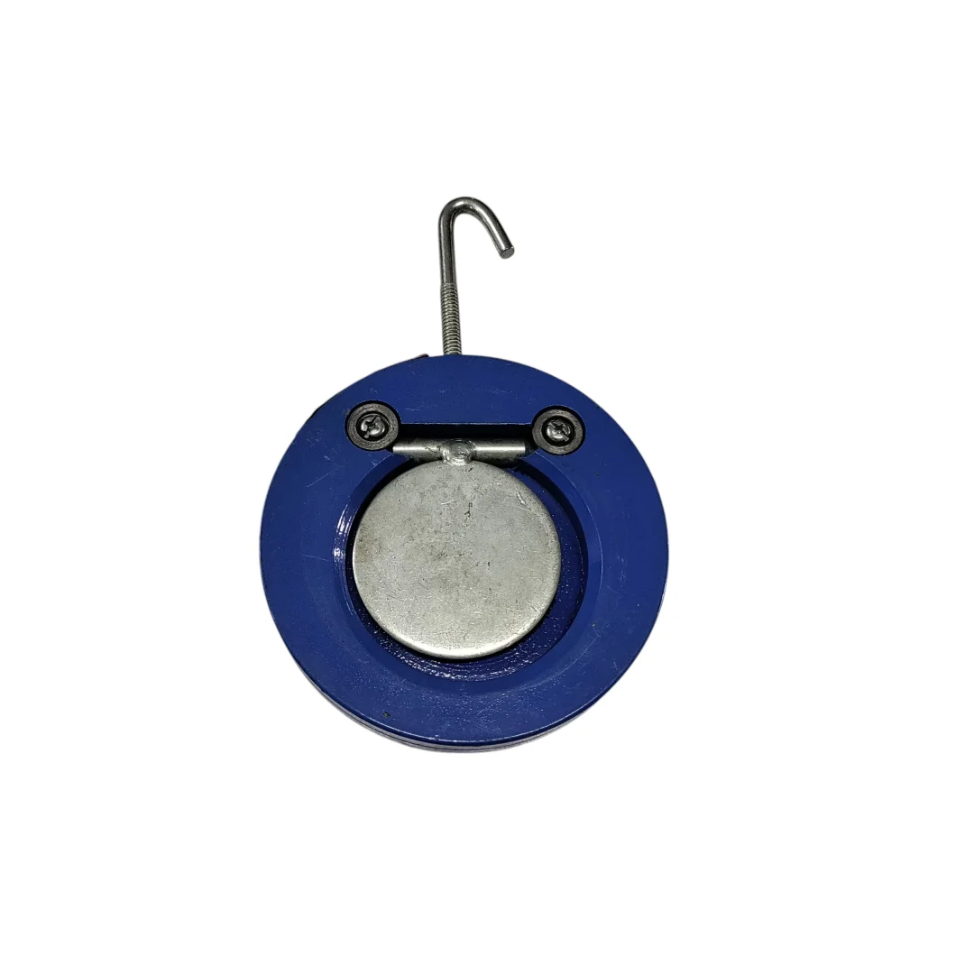 Wafer Cheak Valve 2.5 inch