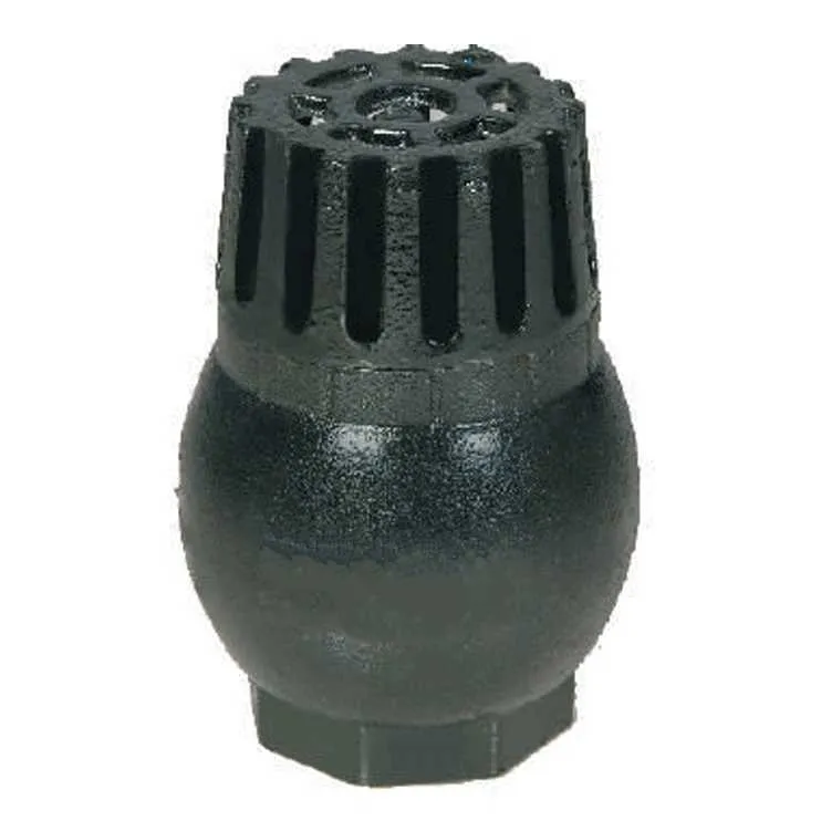 CI Foot Valve 3 Inch Spring