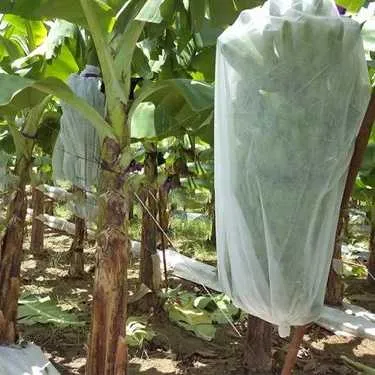 Preview Image 2 Crop Cover 80CM 200MTR