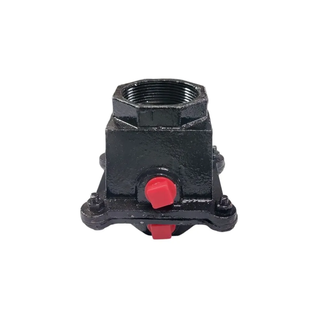 CI Check Valve 2 Inch Bansi
