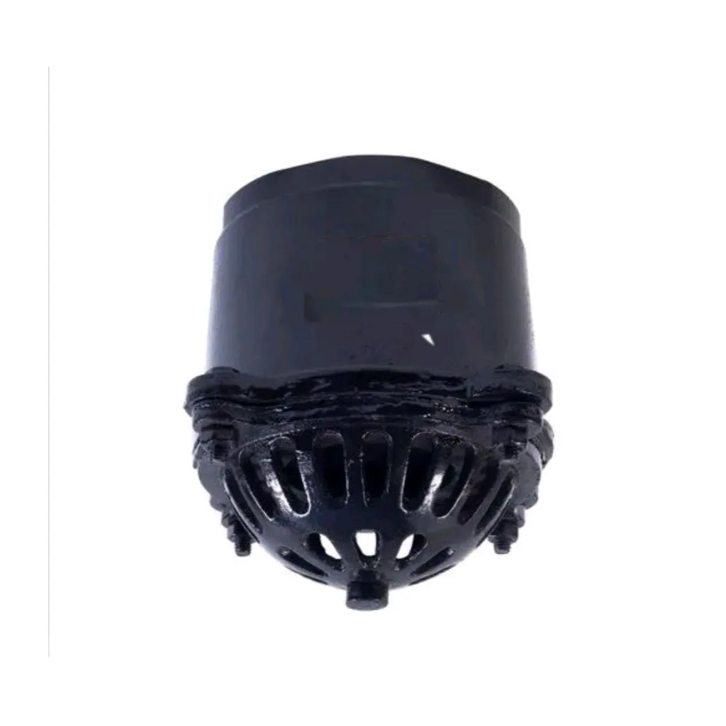 CI Foot Valve 3 Inch HB 4 bolt