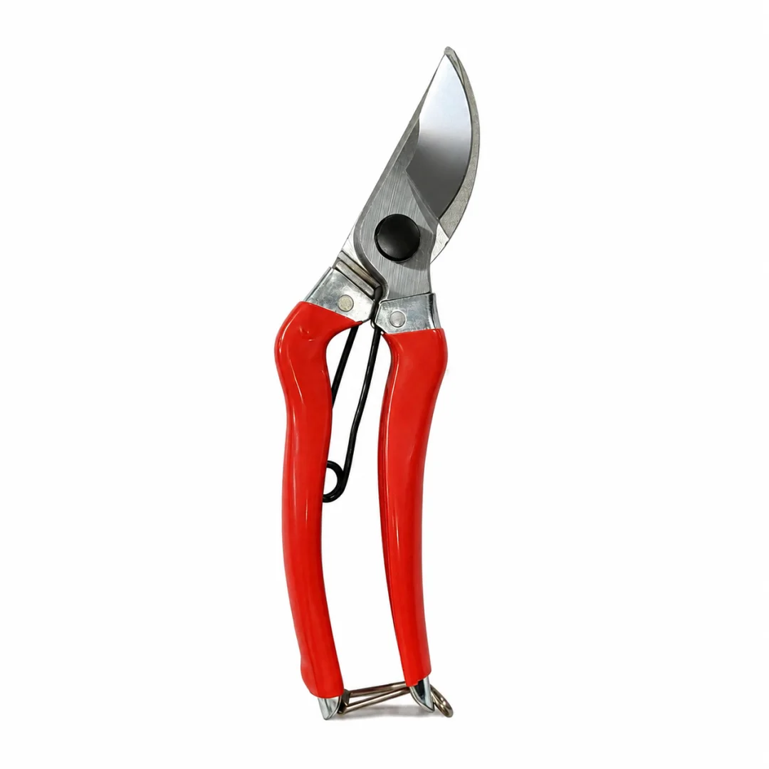 Secateur KASB HC 856